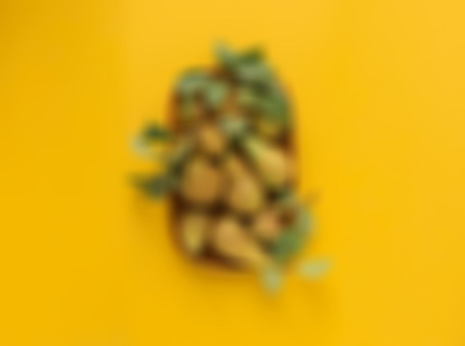 Portfolio Thumbnail
