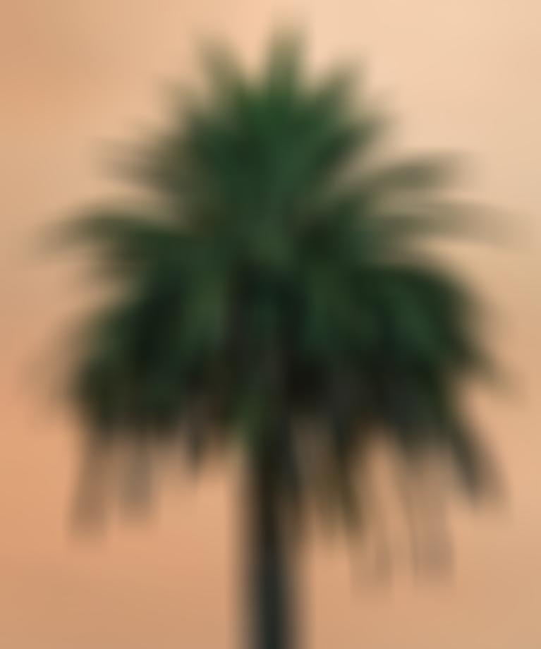 Portfolio Thumbnail